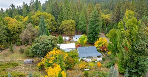 9501 Grizzly Flat Rd, Grizzly Flats, CA 95636 Photo