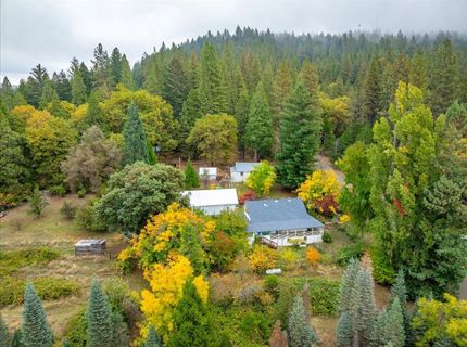 9501 Grizzly Flat Rd, Grizzly Flats, CA 95636 Photo