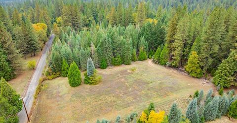 9501 Grizzly Flat Rd, Grizzly Flats, CA 95636 Photo