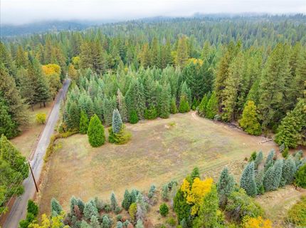9501 Grizzly Flat Rd, Grizzly Flats, CA 95636 Photo