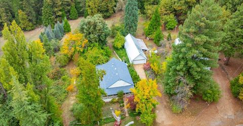 9501 Grizzly Flat Rd, Grizzly Flats, CA 95636 Photo