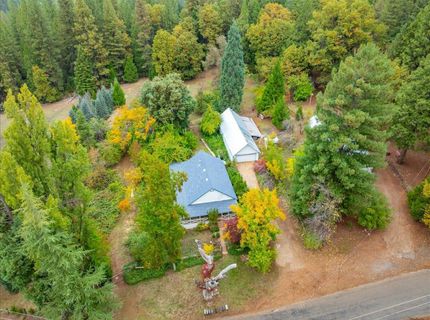 9501 Grizzly Flat Rd, Grizzly Flats, CA 95636 Photo
