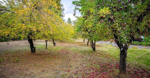 9501 Grizzly Flat Rd, Grizzly Flats, CA 95636 Photo