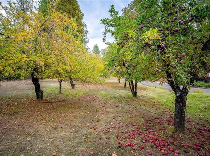 9501 Grizzly Flat Rd, Grizzly Flats, CA 95636 Photo