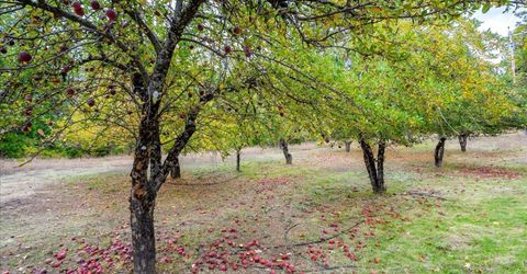 9501 Grizzly Flat Rd, Grizzly Flats, CA 95636 Photo