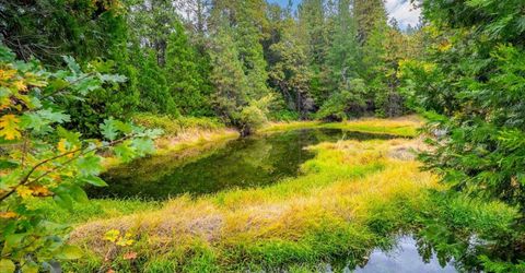 9501 Grizzly Flat Rd, Grizzly Flats, CA 95636 Photo