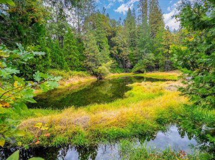 9501 Grizzly Flat Rd, Grizzly Flats, CA 95636 Photo