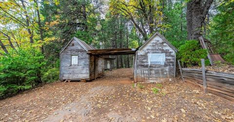 9501 Grizzly Flat Rd, Grizzly Flats, CA 95636 Photo