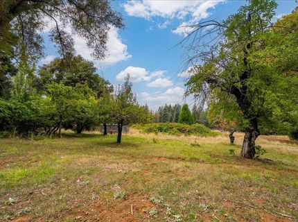 9501 Grizzly Flat Rd, Grizzly Flats, CA 95636 Photo