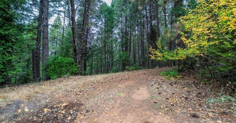 9501 Grizzly Flat Rd, Grizzly Flats, CA 95636 Photo