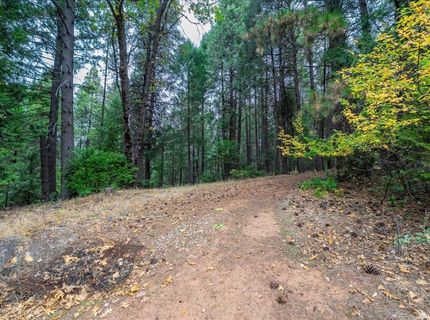 9501 Grizzly Flat Rd, Grizzly Flats, CA 95636 Photo