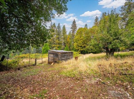 9501 Grizzly Flat Rd, Grizzly Flats, CA 95636 Photo