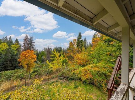 9501 Grizzly Flat Rd, Grizzly Flats, CA 95636 Photo