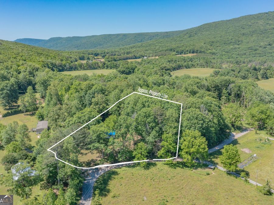 Property Image 6