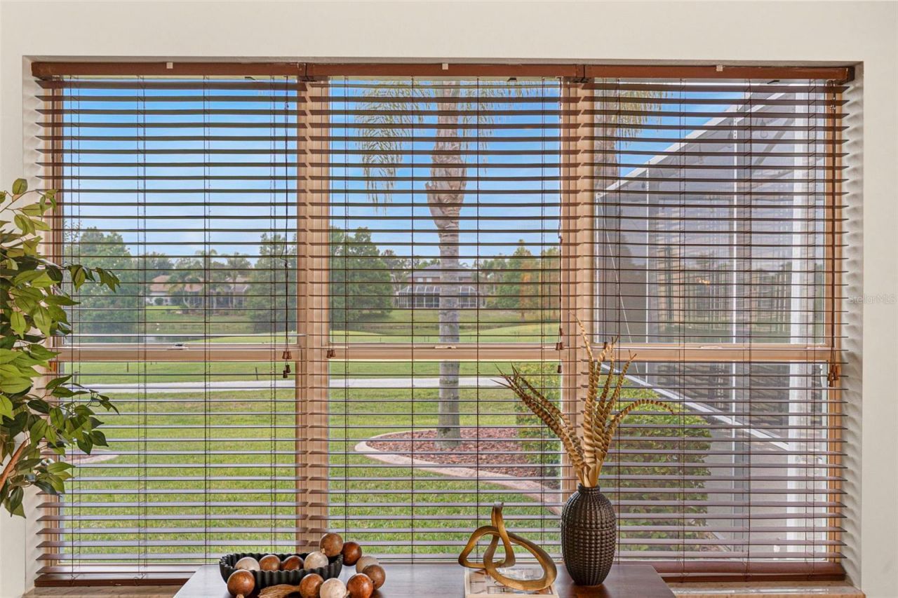 23316 Gracewood Circle , Land O Lakes, FL 34639 Photo