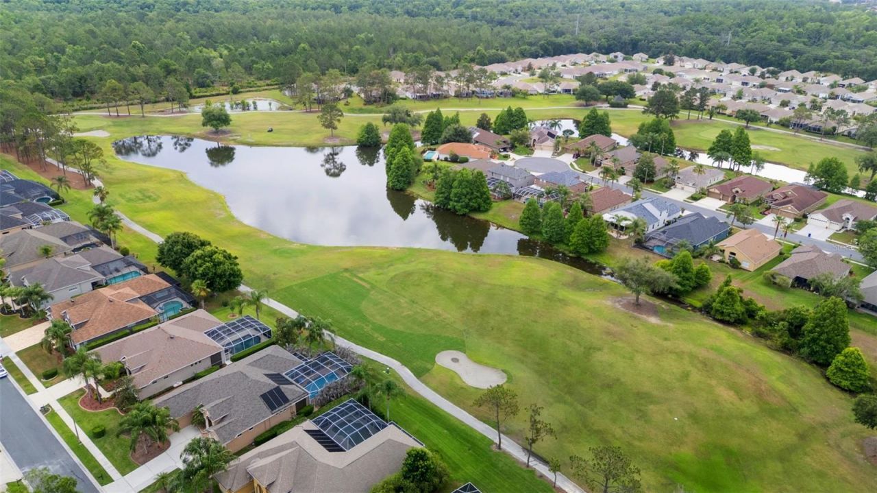 23316 Gracewood Circle , Land O Lakes, FL 34639 Photo