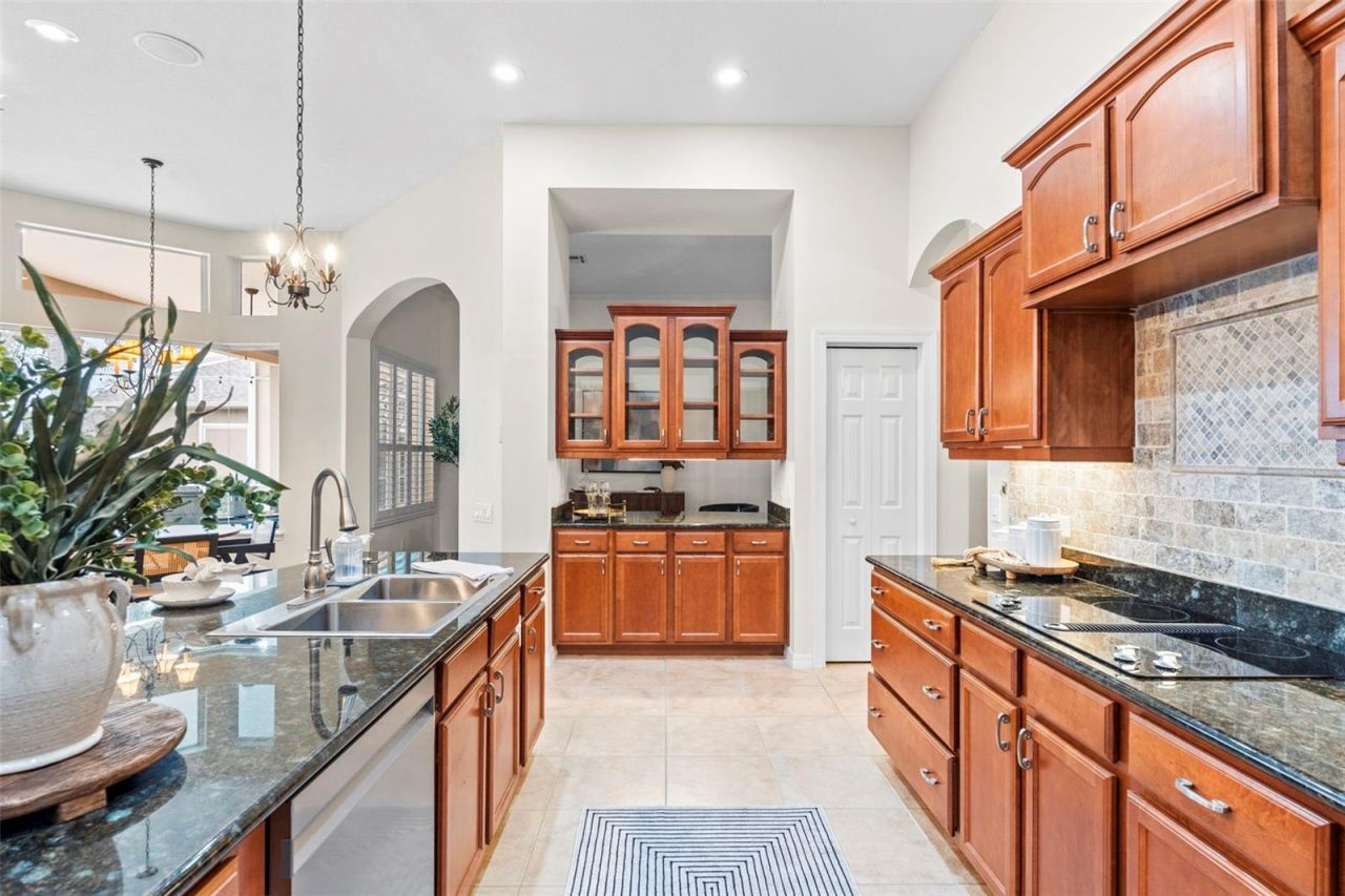 23316 Gracewood Circle , Land O Lakes, FL 34639 Photo