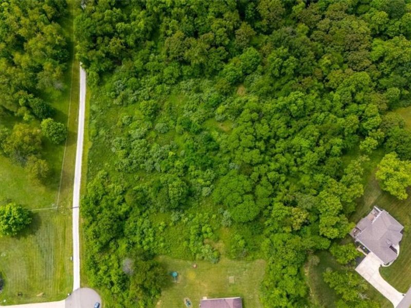0 Jenny Lynn Drive, Belmont, OH 43718 Photo 9