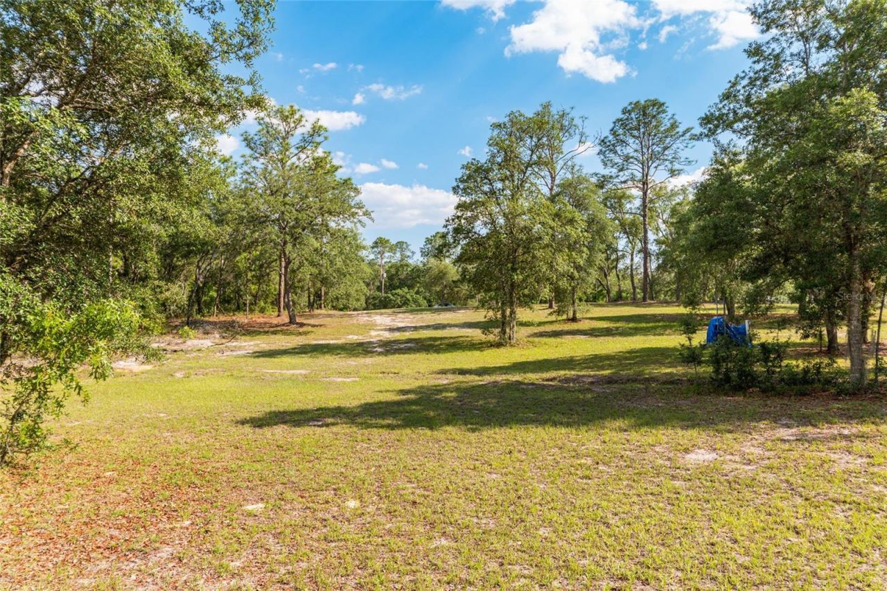 14671 SE 5th Place , Williston, FL 32696 Photo