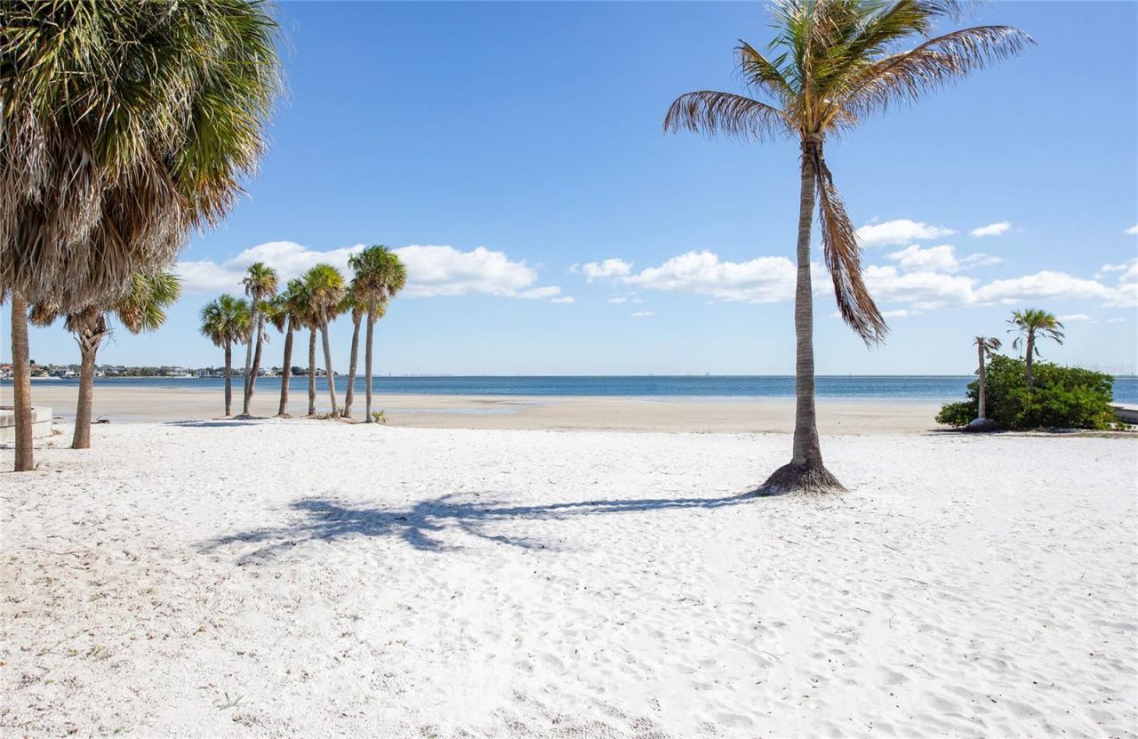 366 47th Avenue N, Unit 3, Saint Petersburg, FL 33703 Photo