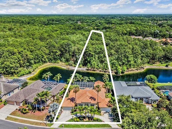 4561 ROANOAK WAY, PALM HARBOR, FL 34685