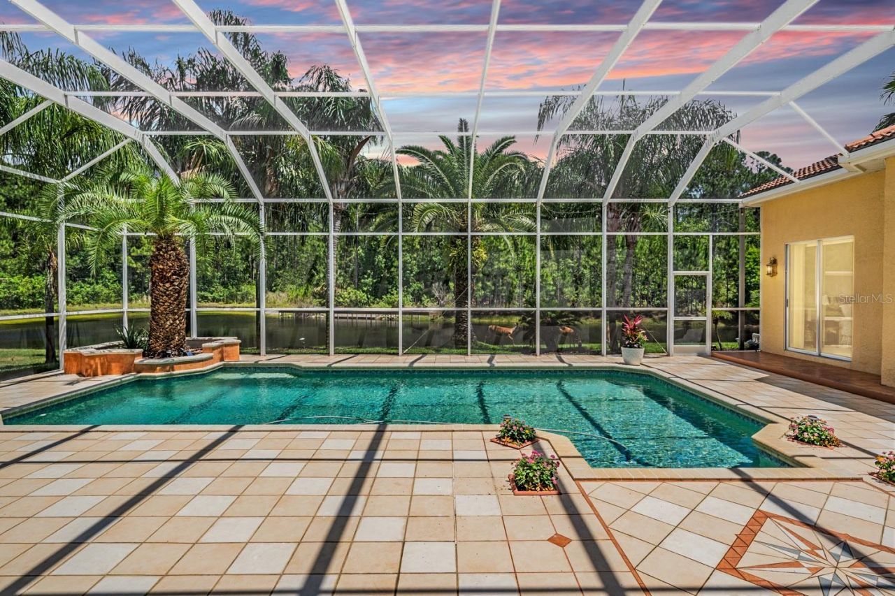 4561 Roanoak Way, Palm Harbor, FL 34685 Photo