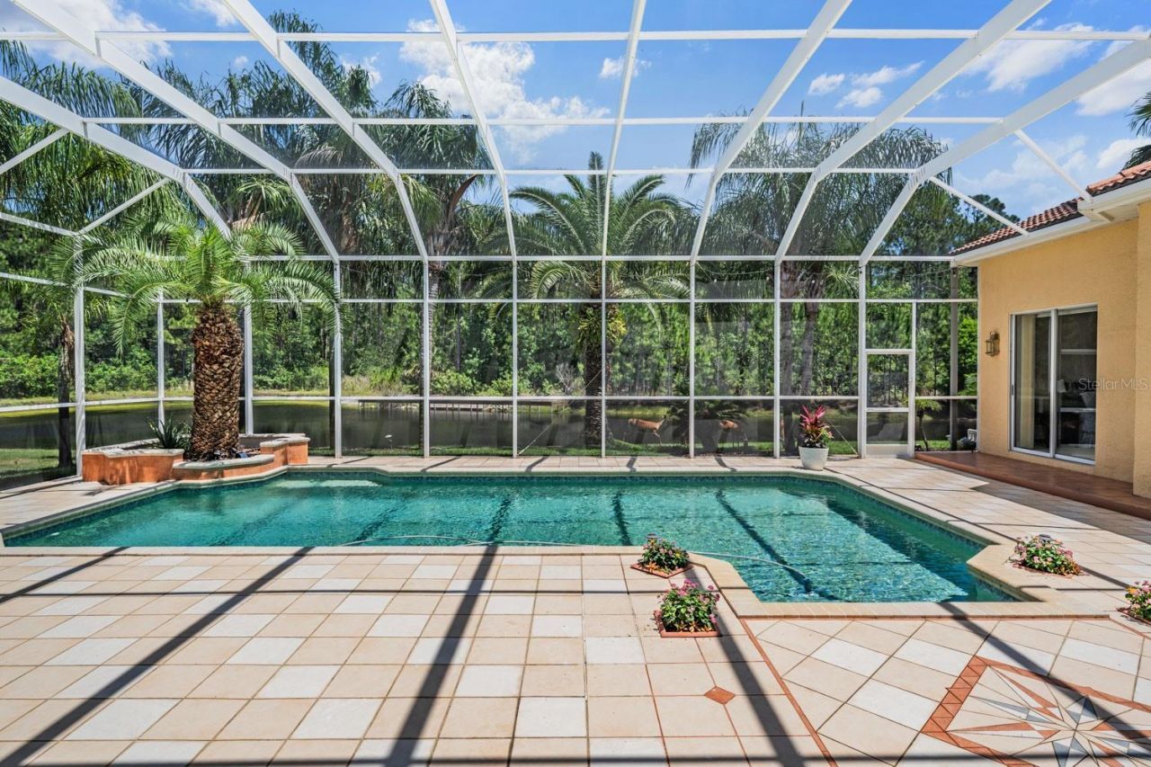 4561 Roanoak Way, Palm Harbor, FL 34685 Photo
