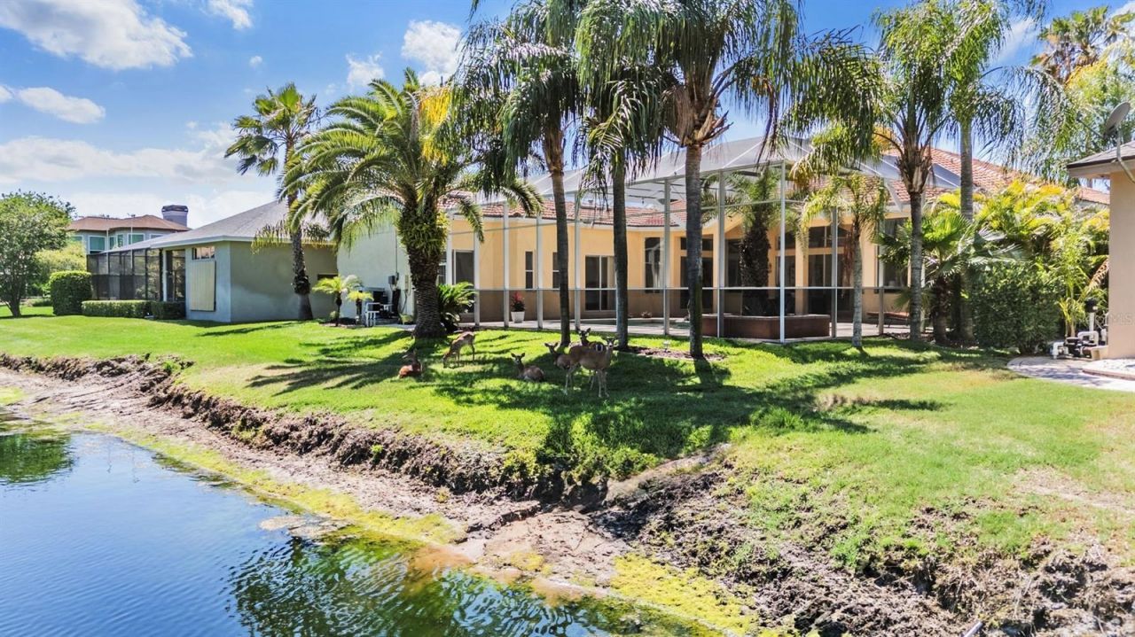 4561 Roanoak Way, Palm Harbor, FL 34685 Photo