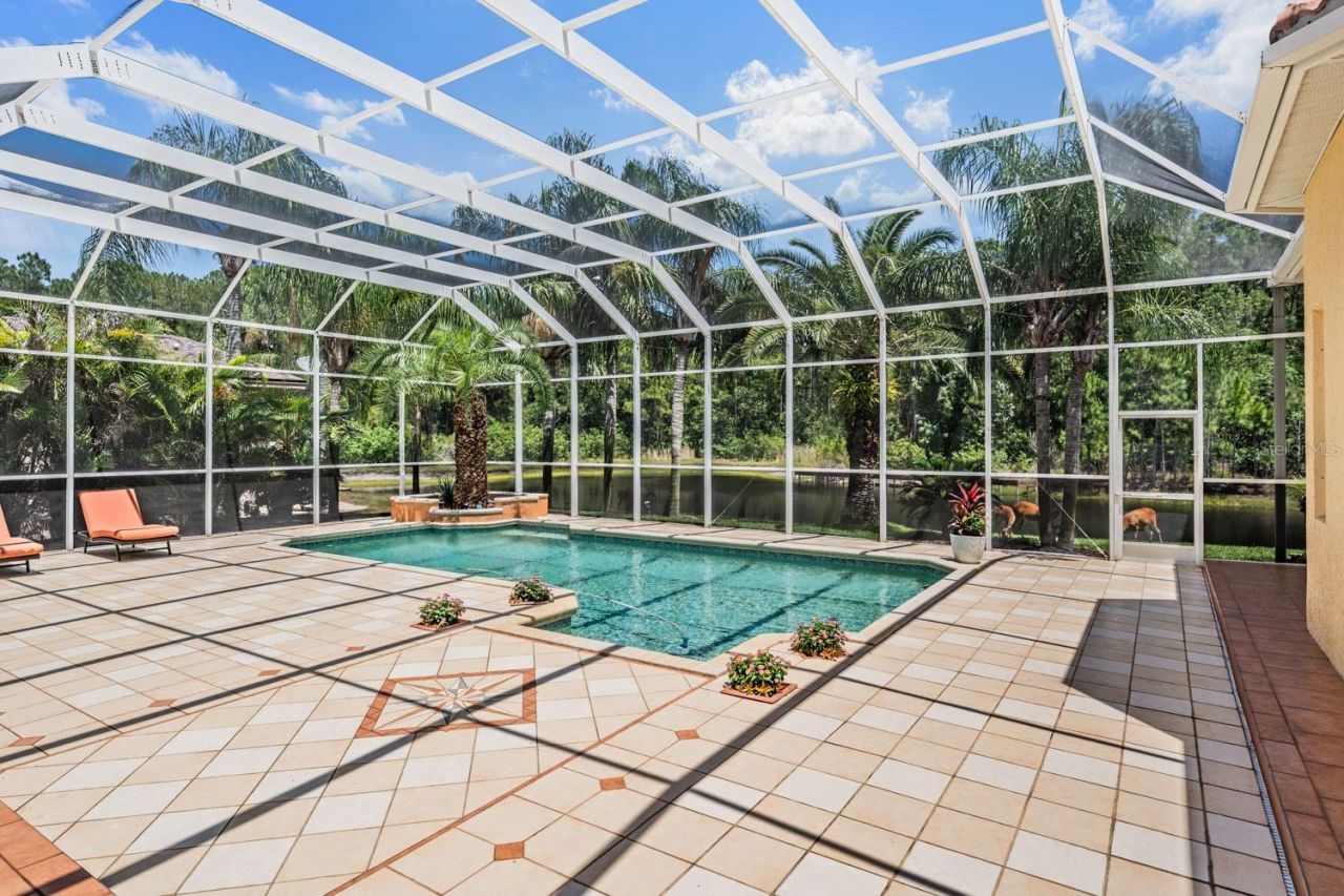 4561 Roanoak Way, Palm Harbor, FL 34685 Photo