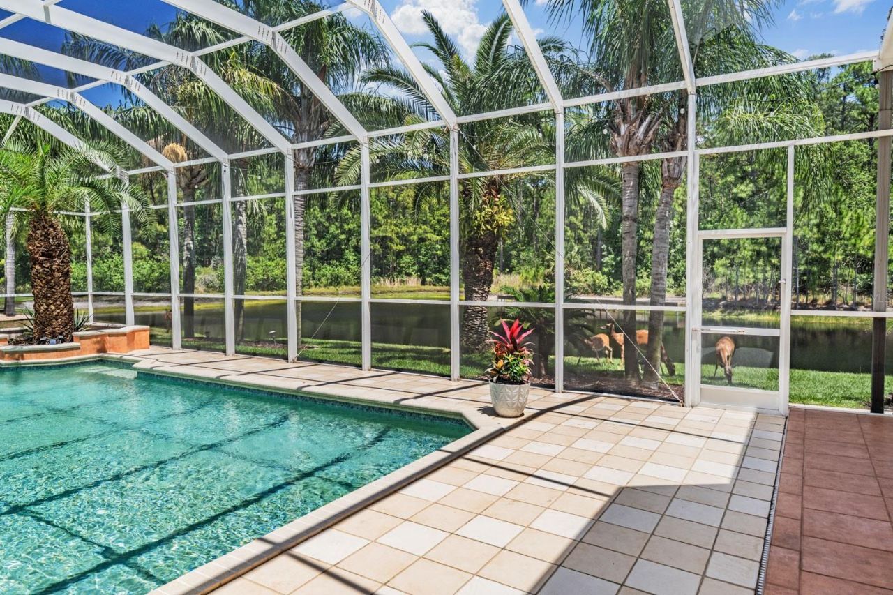 4561 Roanoak Way, Palm Harbor, FL 34685 Photo