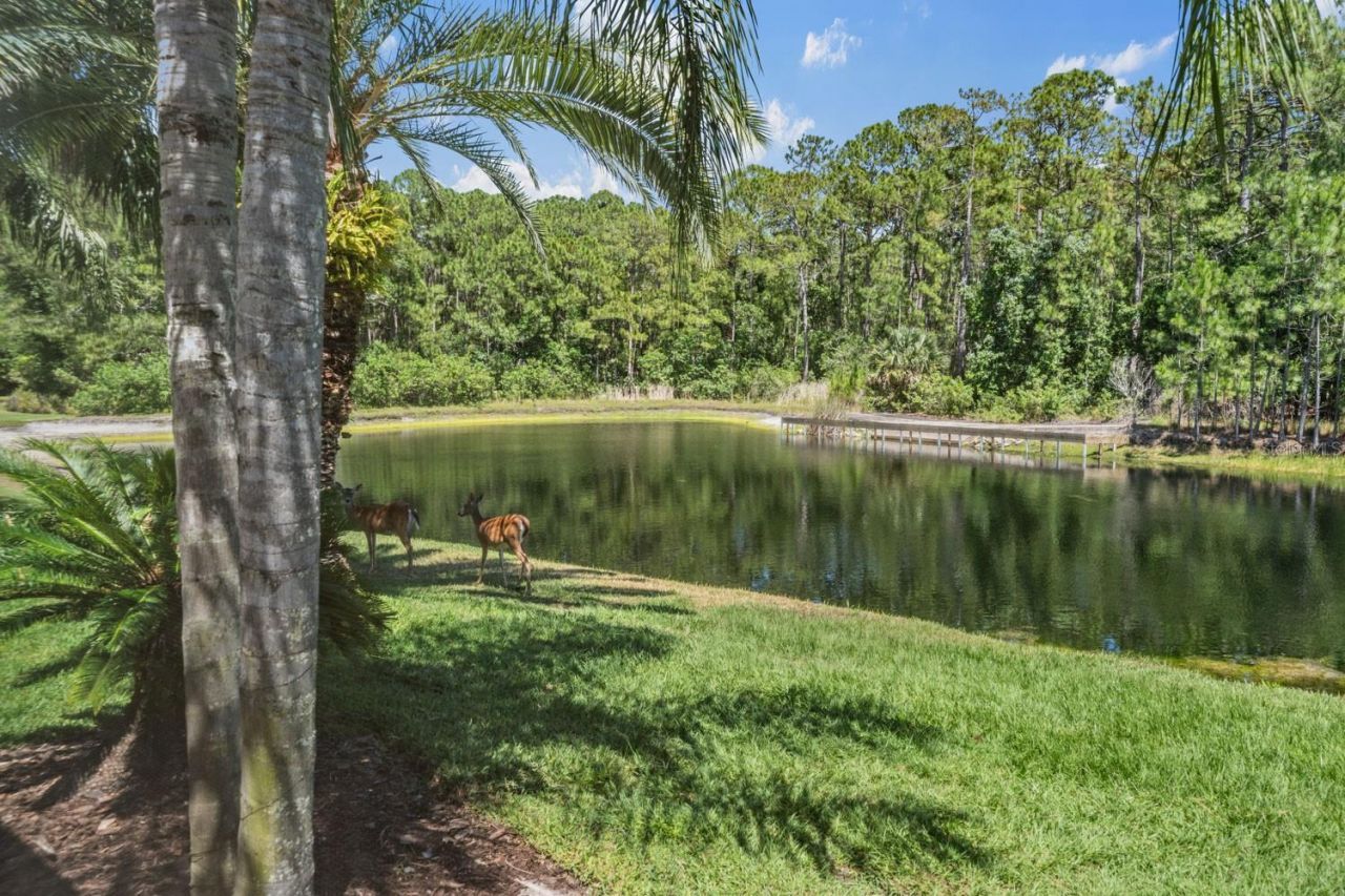 4561 Roanoak Way, Palm Harbor, FL 34685 Photo