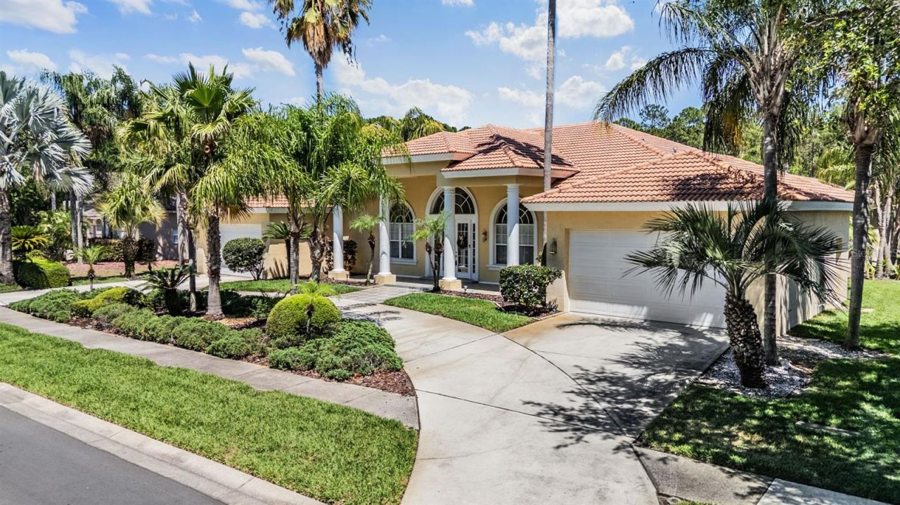 4561 Roanoak Way, Palm Harbor, FL 34685 Photo