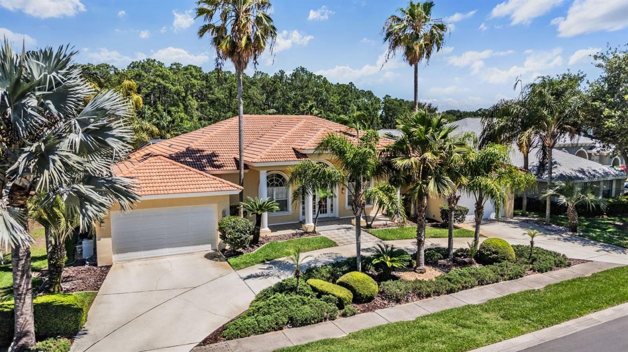 4561 Roanoak Way, Palm Harbor, FL 34685 Photo