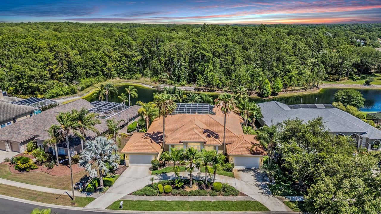 4561 Roanoak Way, Palm Harbor, FL 34685 Photo