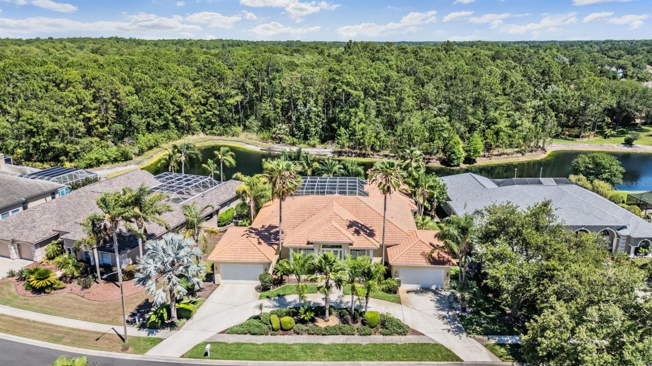 4561 Roanoak Way, Palm Harbor, FL 34685 Photo