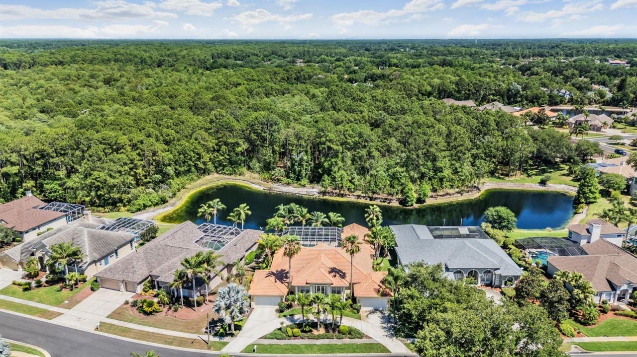 4561 Roanoak Way, Palm Harbor, FL 34685 Photo