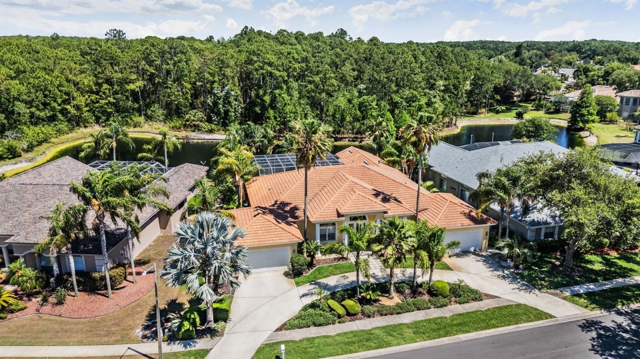 4561 Roanoak Way, Palm Harbor, FL 34685 Photo