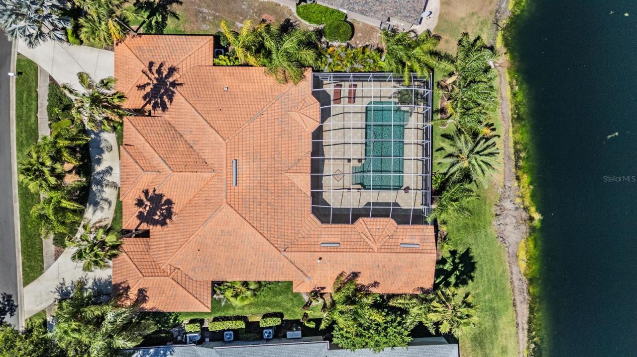 4561 Roanoak Way, Palm Harbor, FL 34685 Photo