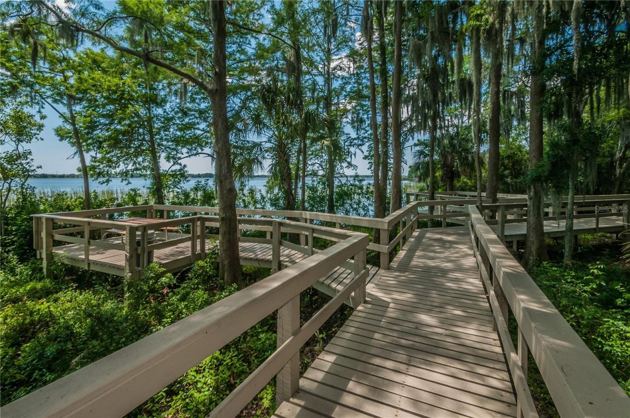 4561 Roanoak Way, Palm Harbor, FL 34685 Photo