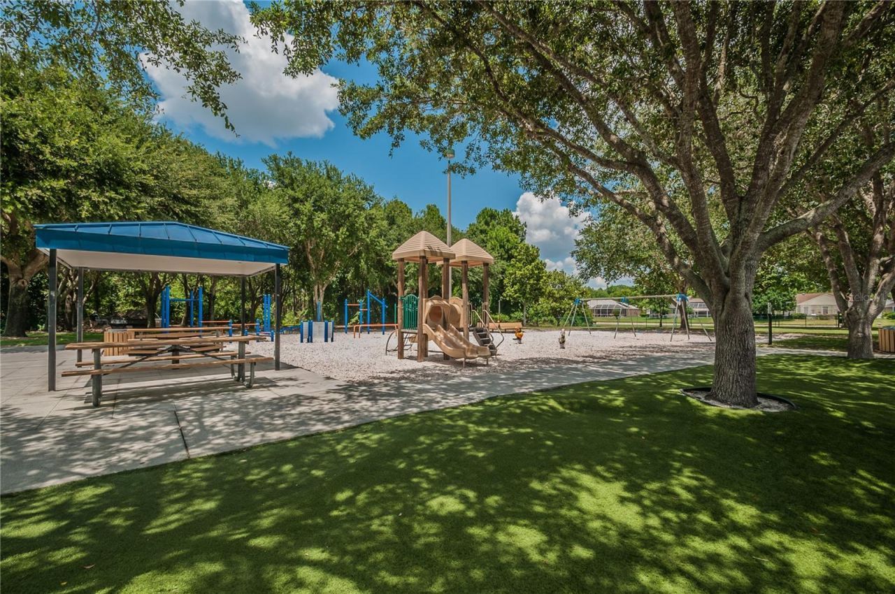 4561 Roanoak Way, Palm Harbor, FL 34685 Photo
