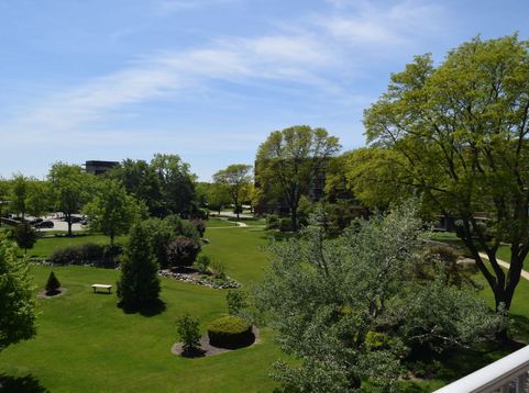 Main Photo