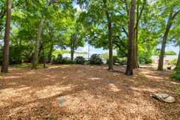 0 Toler Drive photo 4