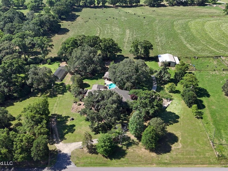 Property Image 54