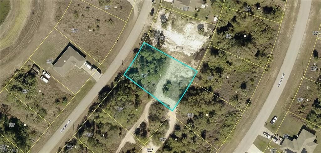 313 Selkirk Ave , Lehigh Acres, FL 33974 Photo