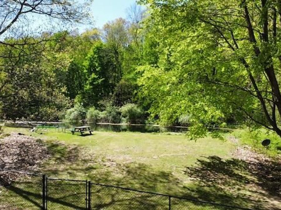 Property Image 54
