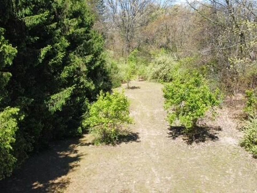Property Image 60