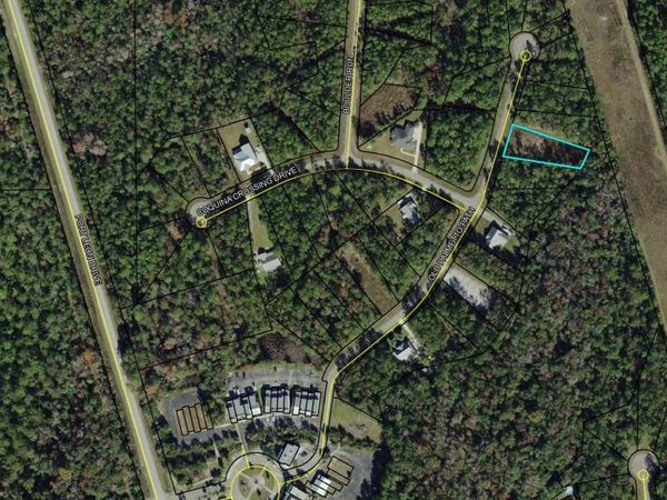 lot 70 Old Palmetto Path , St Marks, FL 32355