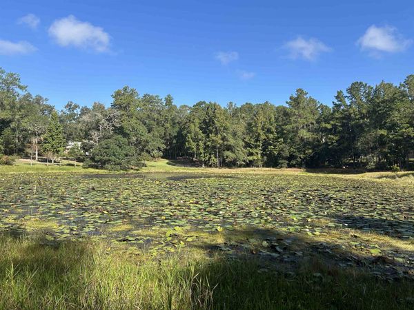 Tram Road , Tallahassee, FL 32311