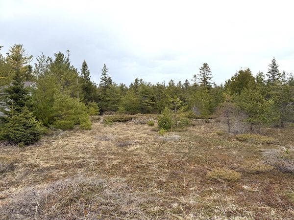 8292 N Point Shores, Alpena, MI 49707