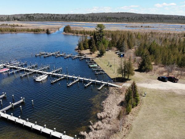 6171 Foxwood Court, Indian River, MI 49749